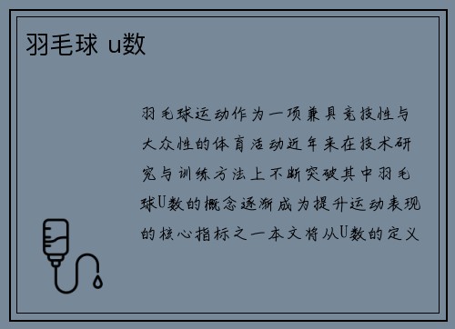 羽毛球 u数