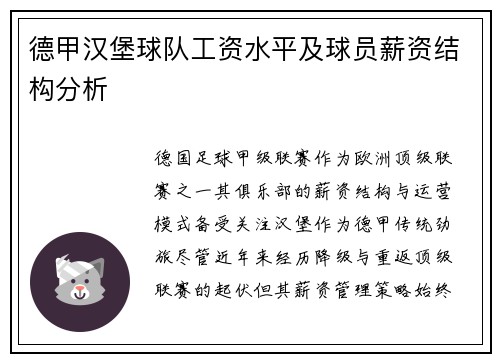 德甲汉堡球队工资水平及球员薪资结构分析