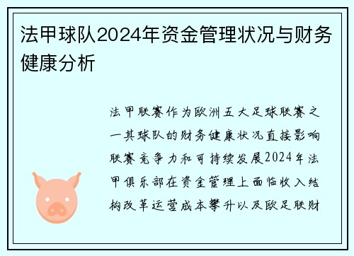 法甲球队2024年资金管理状况与财务健康分析