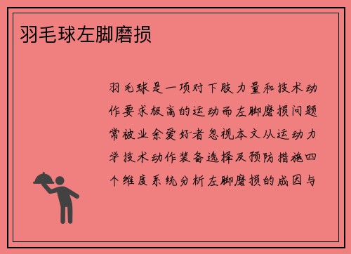 羽毛球左脚磨损